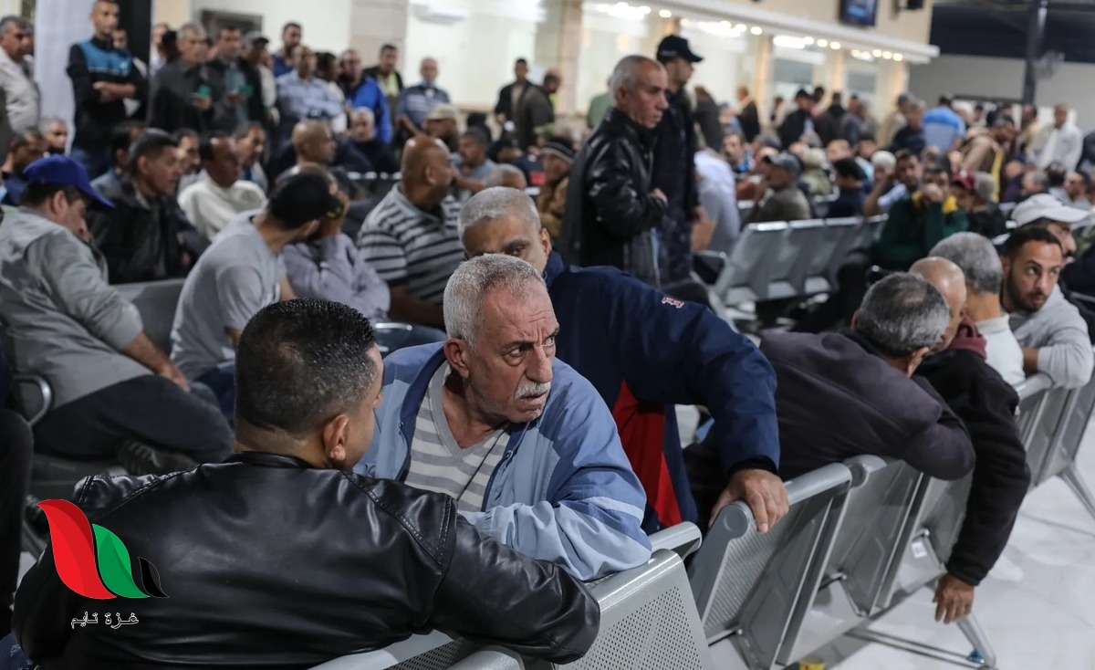 شركات التشغيل.. إنهاء للسمسرة أم ضبط لها؟