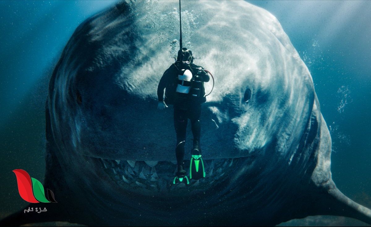 مشاهدة فيلم the meg 2 full movie مترجم ماي سيما