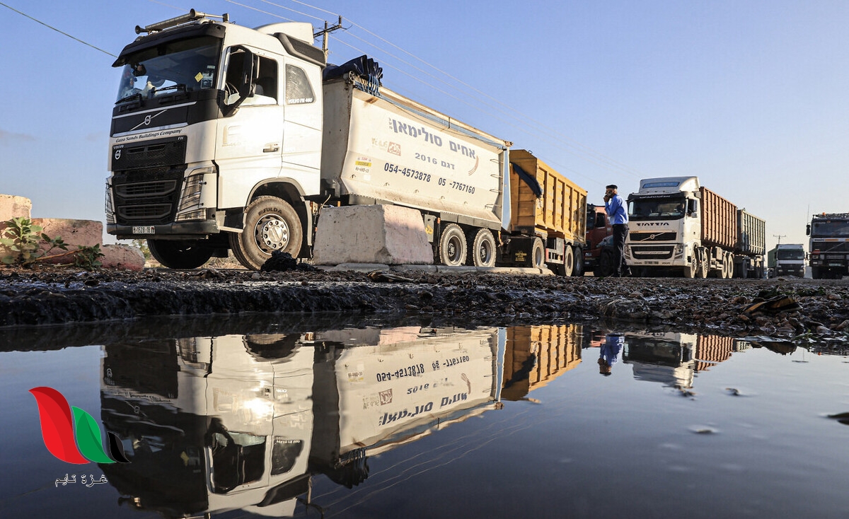 إعادة التصدير ينقذ التجار من خسائر فادحة