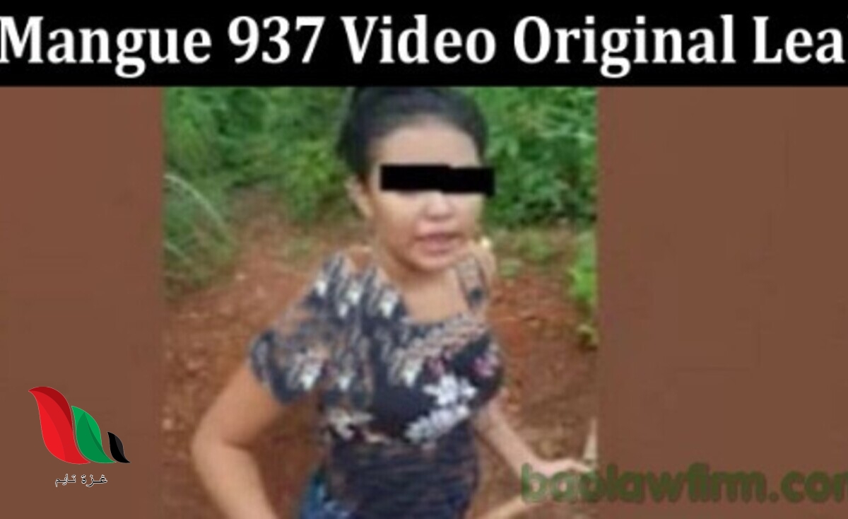 mangue 937 قصة فيديو