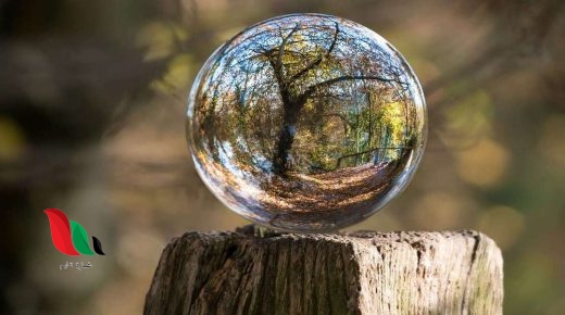 تحميل كتاب التوافق النفسي pdf