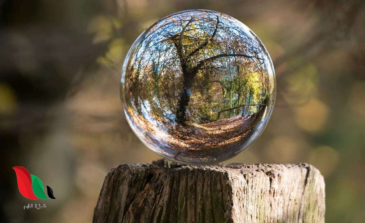 تحميل كتاب التوافق النفسي pdf