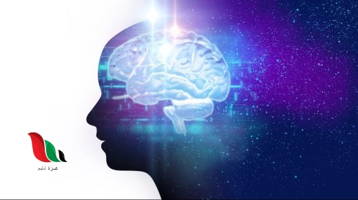 ما هو sapiosexual ويكيبيديا