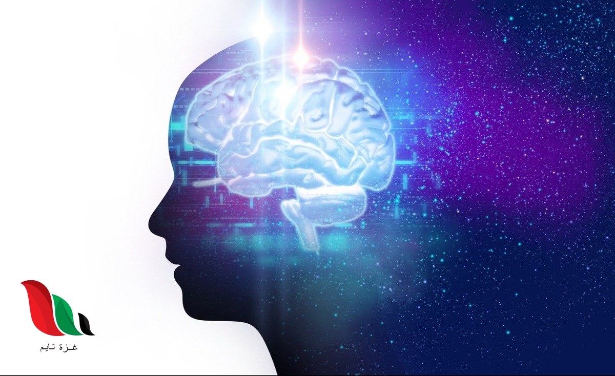 ما هو sapiosexual ويكيبيديا