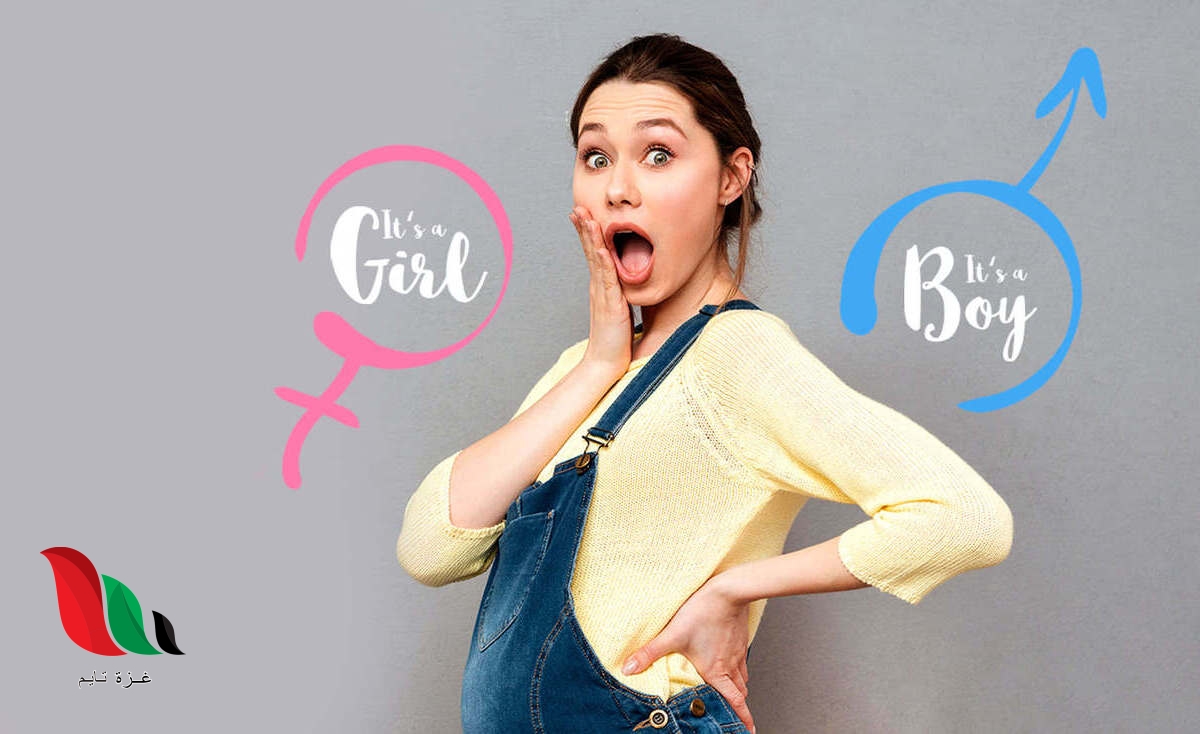 هل الجدول الصيني صحيح في تحديد نوع الجنين