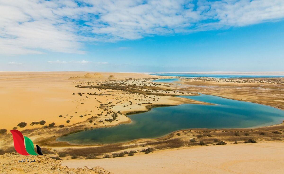 هل بحيرة قارون مالحة ام عذبة