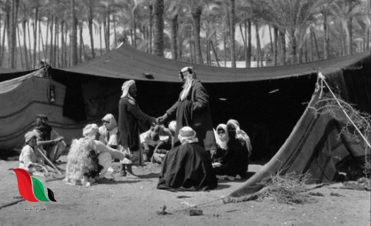 اصل قبيلة بكلكا وش يرجعون