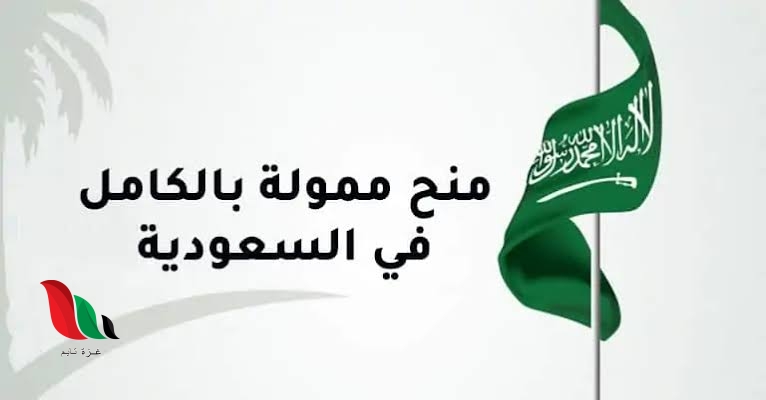 منح دراسية في السعودية لغير السعوديين 2024