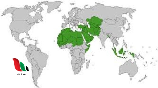 أصغر دول العالم الإسلامي مساحة