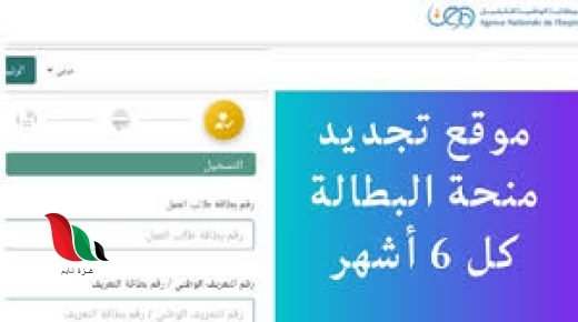 تجديد منحة البطالة الوسيط 2024 كل 6 أشهر في الجزائر minha anem dz