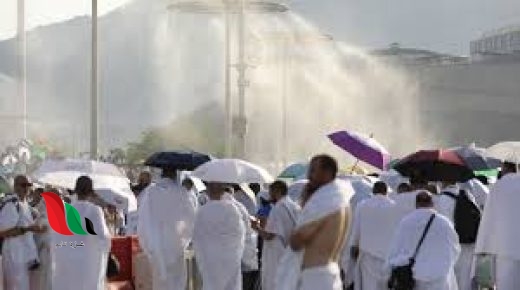 سبب وفاة الحجاج المصريين واخر احصائيات الاعداد