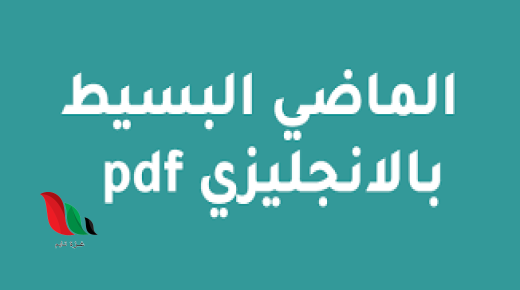 شرح زمن الماضي البسيط بالتفصيل pdf