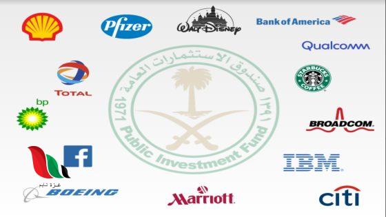 كم عدد شركات صندوق الاستثمارات العامة pdf