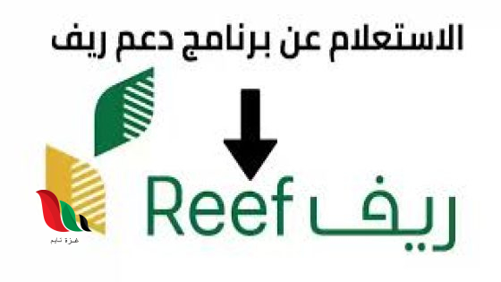 رابط الإستعلام عن دعم ريف هذا الشهر