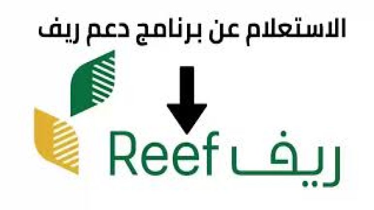 رابط الإستعلام عن دعم ريف هذا الشهر