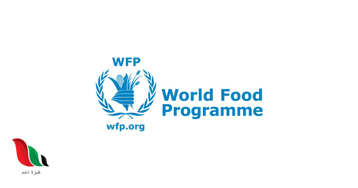 رابط التسجيل الرسمي للـ 1000 شيكل من اليونسيف Unicef شهر 8 / 2024