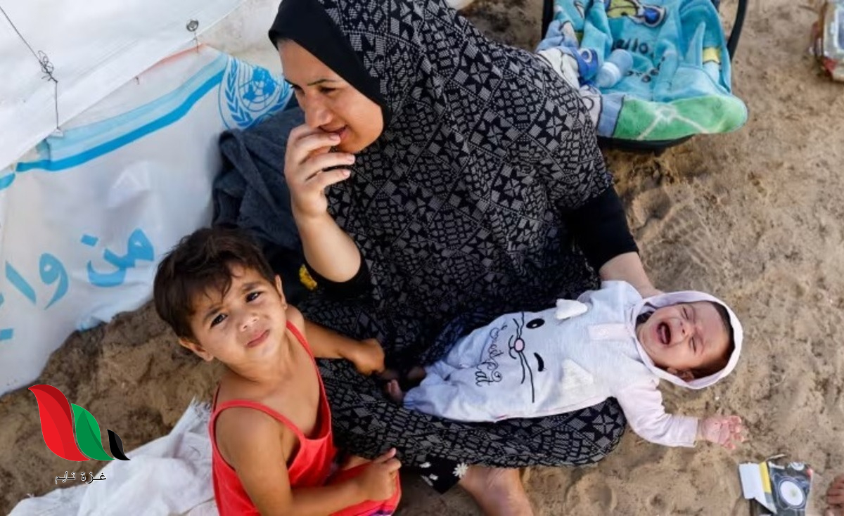 رابط التسجيل للاستفادة من المساعدات النقدية والعينية لدى مؤسسة إنقاذ الطفل