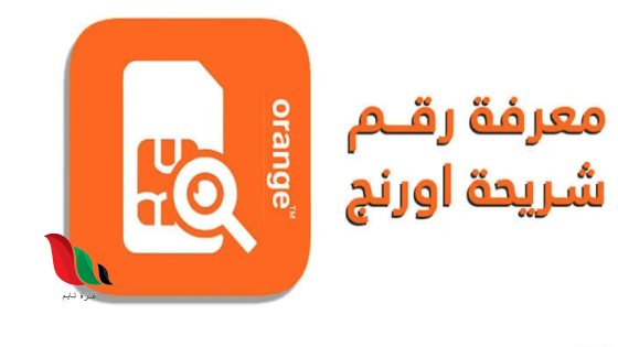 ازاي اعرف رقمي 012