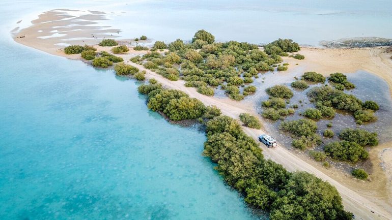 هدف الكاتبة من التعريف بفرسان لاجتذاب السائحين إلى جزء من أجزاء الوطن