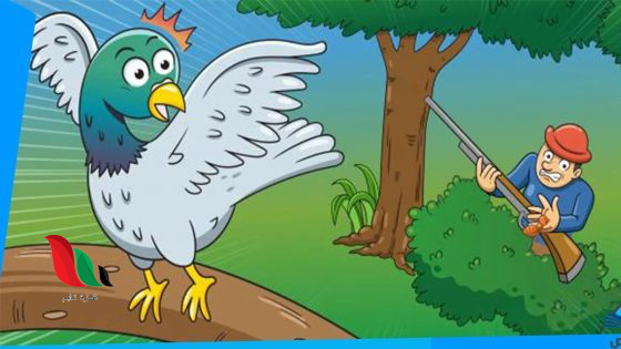 اتصف الجرذ في قصة الحمامة المطوقة بالوفاء والنجدة لصديقته الحمامة صواب خطأ