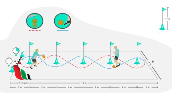 الجري المتعرج بين أقماع مع تنطيط الكرة 20 م يقيس عنصر التوافق صواب خطأ