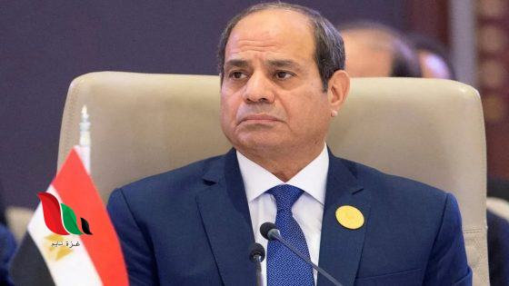 السيسي: خسائر قناة السويس تصل إلى 800 مليون دولار شهريًا