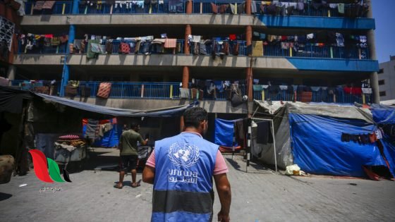 الأونروا: مخازننا فارغة وهناك عشرات الآلاف من الجائعين في غزة