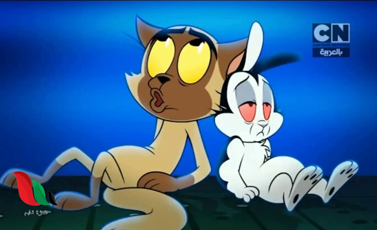 تردد قناة كرتون نتورك cn بالعربية الجديد 2025 على نايل سات