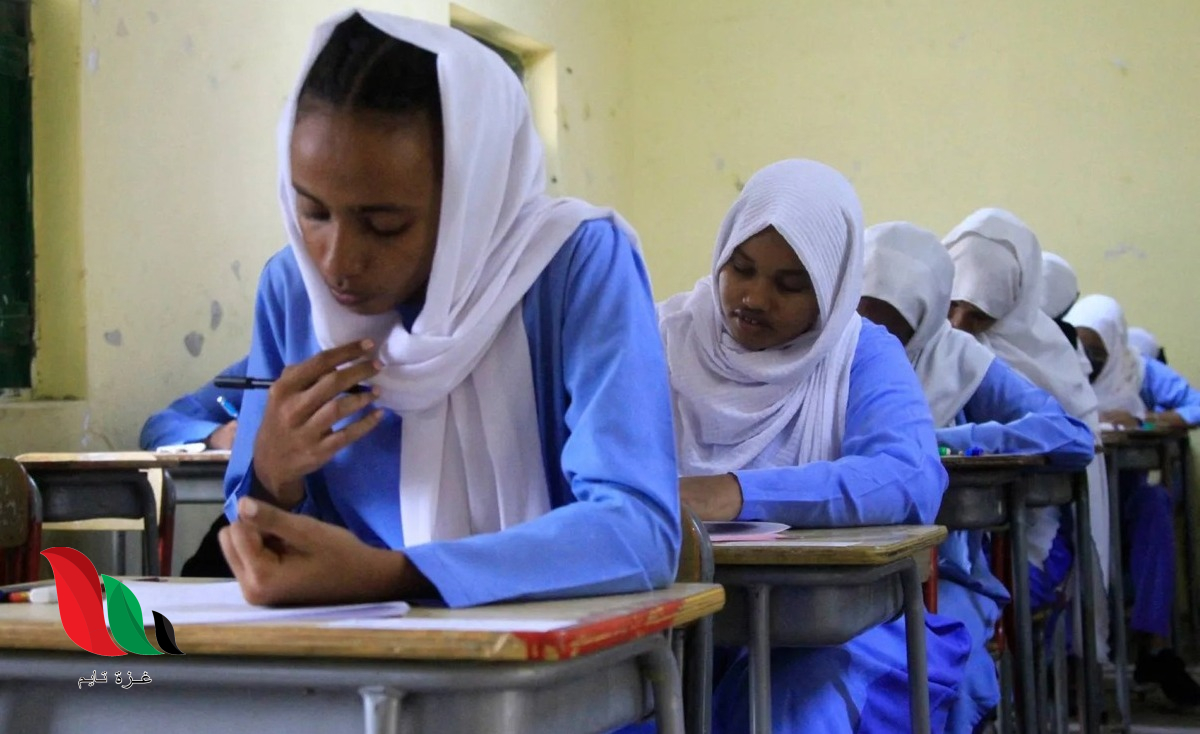 رابط نتيجة الشهادة السودانية 2023 pdf المؤجلة لعام 2025 برقم الجلوس