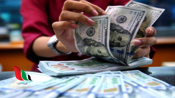 هل متابعة سعر الدولار رفاهية أم ضرورة؟