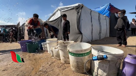 تجويع الأبرياء في غزة: وصمة عار لن تُمحى من ضمير الإنسانية