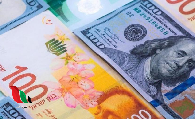 أسعار صرف العملات في فلسطين اليوم الإثنين 21 يوليو 2025 تحديث حصري لسعر الدولار