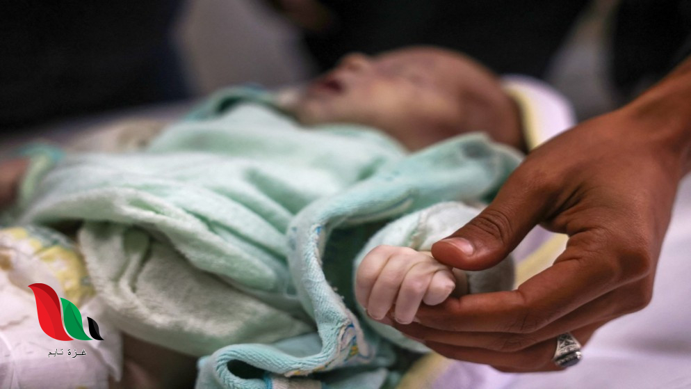 ارتفاع عدد ضحايا الجوع في غزة إلى 115 شهيدًا.. وأزمة غذاء تهدد حياة الأطفال