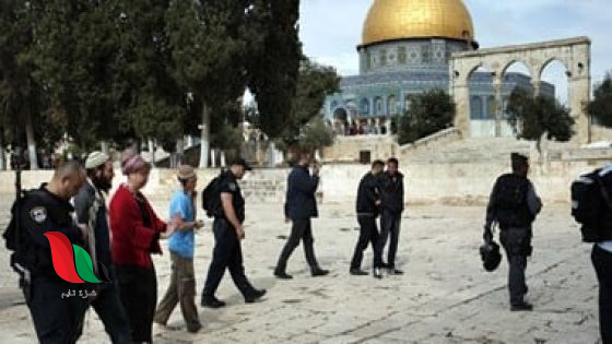 اقتحامات جديدة للأقصى من قبل مستوطنين.. وقوات الاحتلال تداهم مناطق متفرقة في القدس