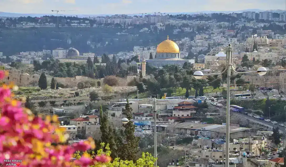 توقعات الطقس في فلسطين اليوم السبت 19 يوليو 2025