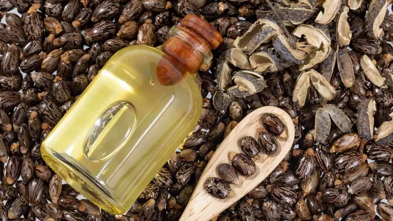 زيت الخروع للبشرة.. السر الطبيعي لمفعول شبيه بالبوتوكس