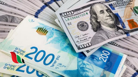سعر الدولار مقابل الشيكل اليوم في فلسطين تقرير حول أسعار العملات 13 يوليو 2025