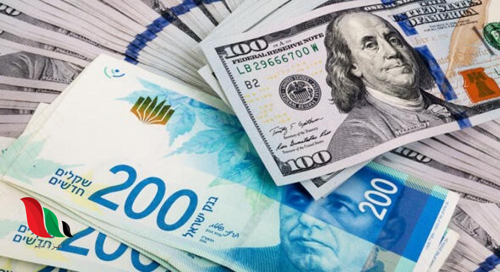 سعر الدولار مقابل الشيكل اليوم في فلسطين تقرير حول أسعار العملات 13 يوليو 2025