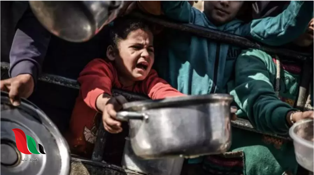 بين الحصار والجوع.. غزة تموت جوعًا على مرأى العالم