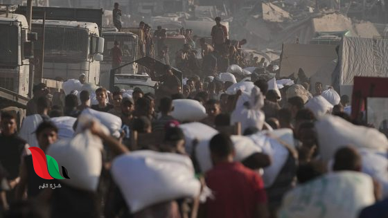 الأمم المتحدة: 383 عاملاً إغاثياً قُتلوا في 2024.. نصفهم في غزة