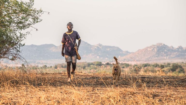 شاهد فيلم the boy who harnessed the wind مترجم ماي سيما
