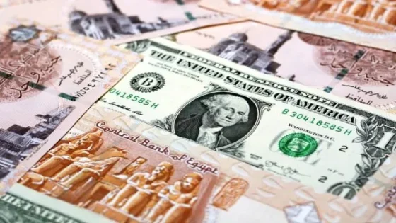 أزمة الدولار وتباطؤ النمو.. ما هي مصادر مصر للعملة الصعبة؟