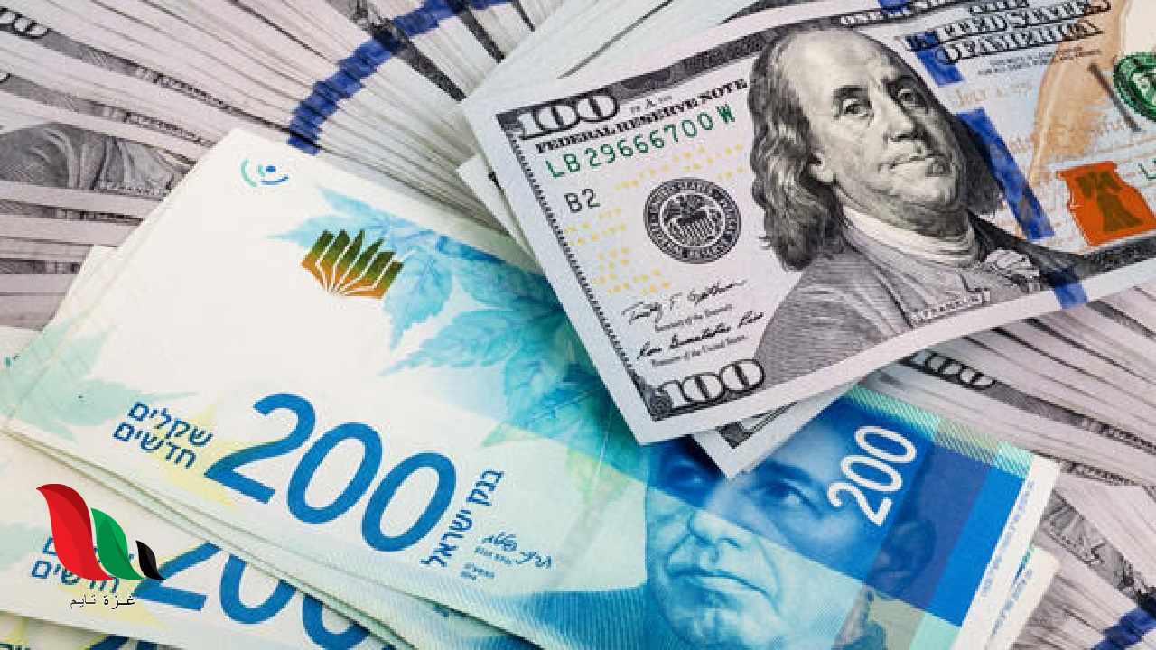 تحديث سعر الدولار مقابل الشيكل اليوم الاثنين 18 أغسطس.. أسعار صرف العملات في فلسطين الآن