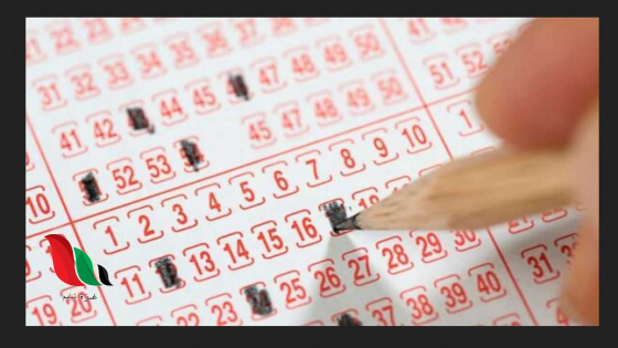 نتائج سحب اللوتو اللبناني مع زيد اليوم 14-8-2025