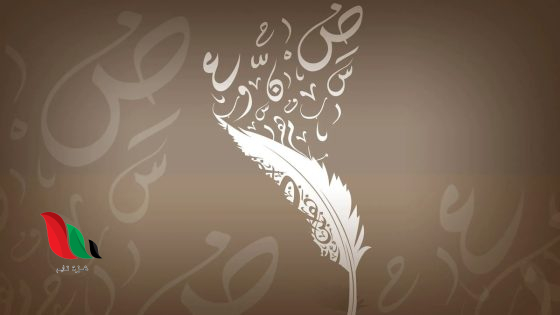 لفظ يعبر عن رقم يختلف لفظه تذكيرًا أو تأنيثًا. صواب خطأ
