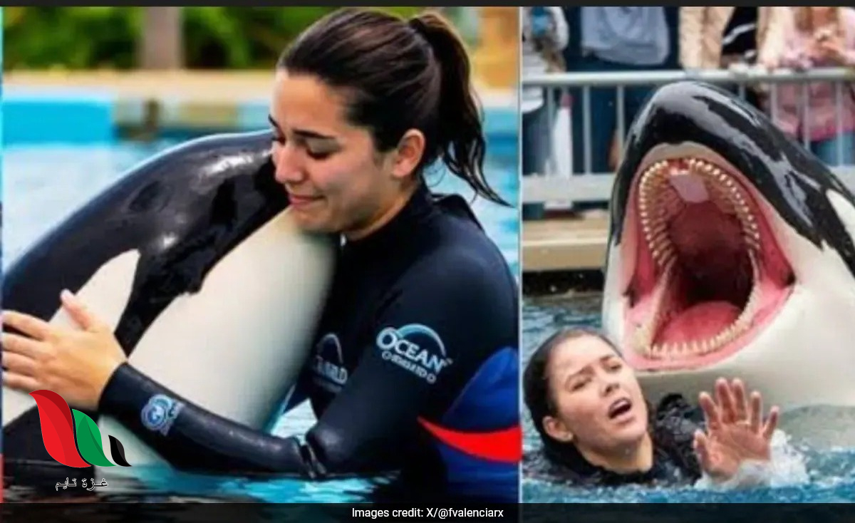 من هي جيسيكا رادكليف على ويكيبيديا ؟