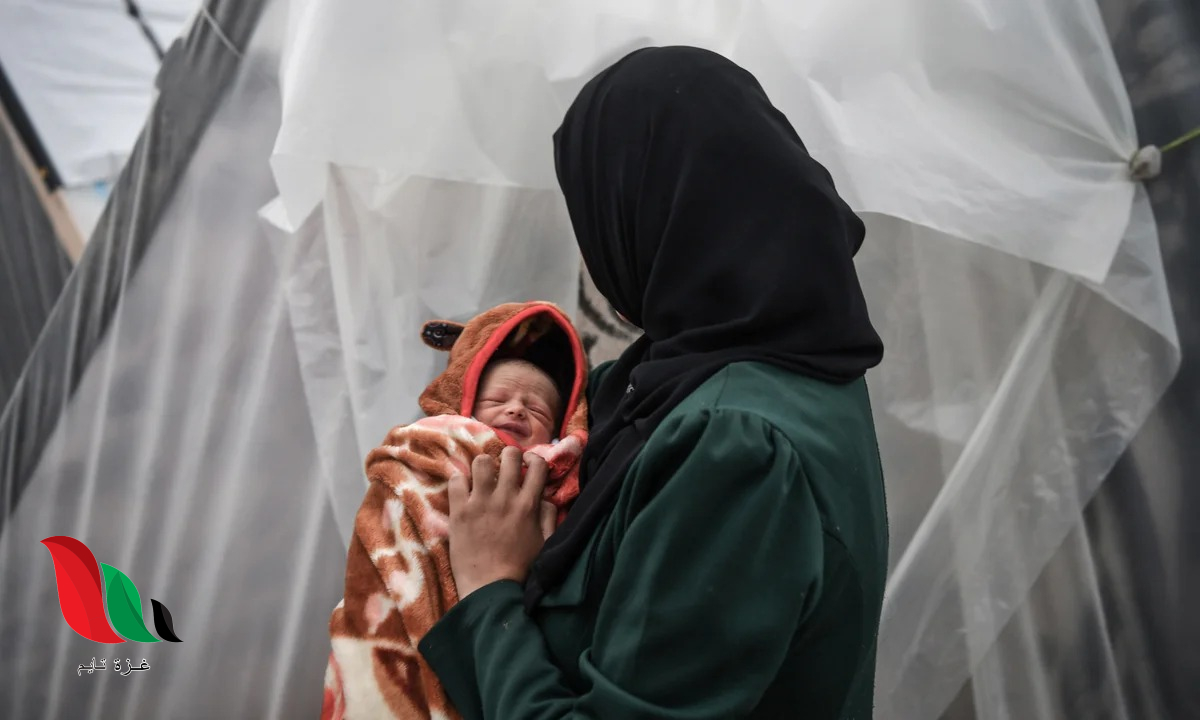 مطبخ حساء غزة الخيري يعلن رابط تسجيل جديد للنساء الأرامل