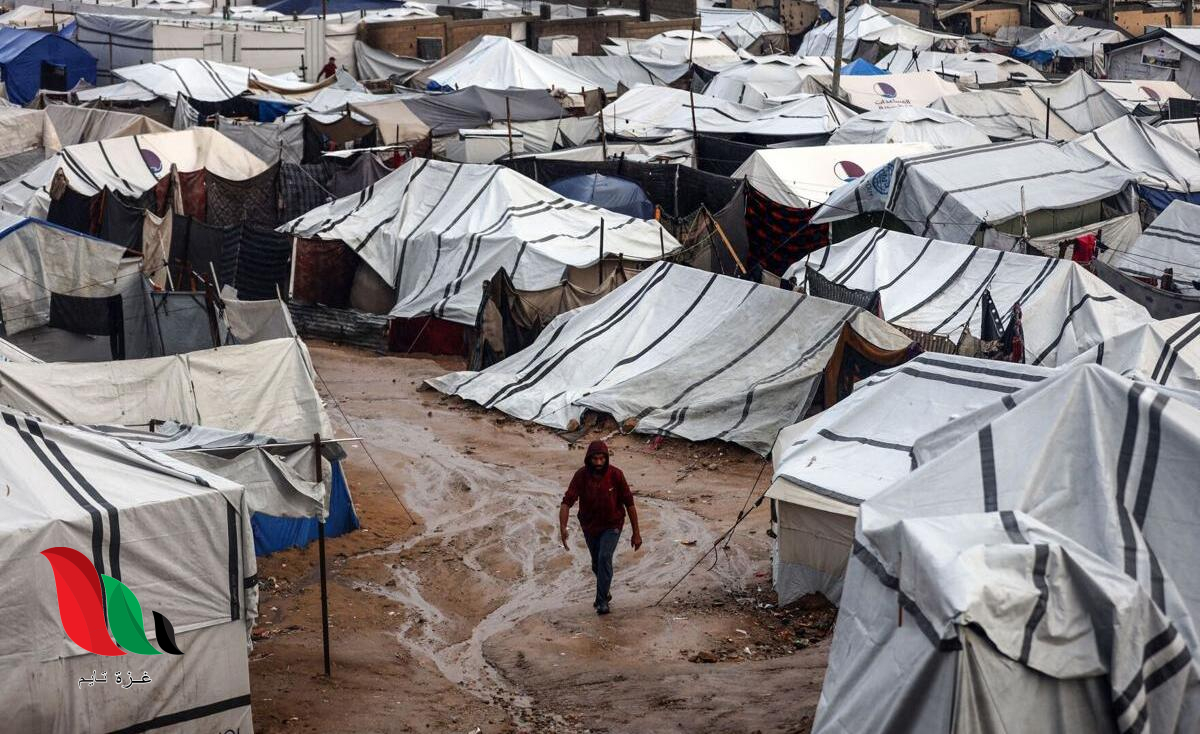 منخفض جوي بارد يطرق الأبواب: رياح نشطة وغبار وأمطار غزيرة في غزة