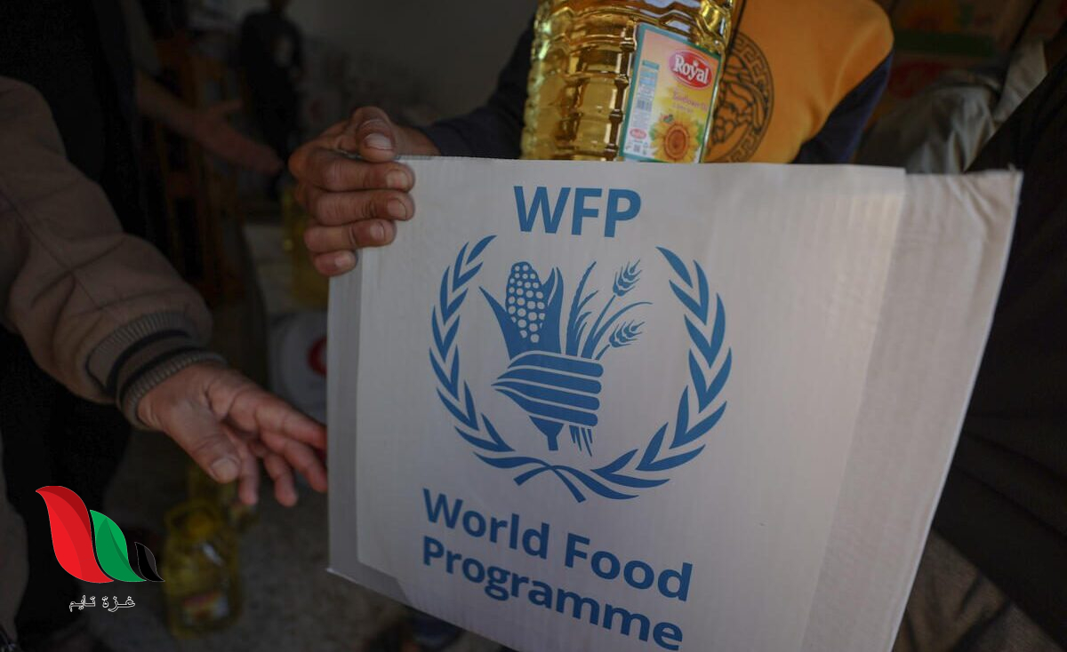 الغذاء العالمي بغزة يطالب بتحديث البيانات لضمان استمرار المساعدات