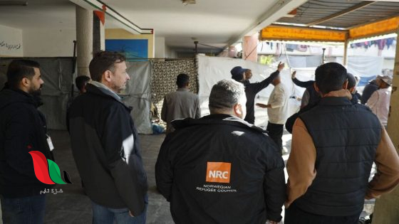 فرص عمل عاجلة في غزة عبر المجلس النرويجي للاجئين – سجّل الآن